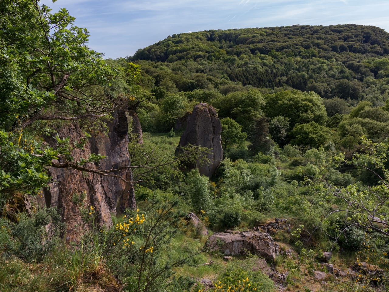 Felswände und ein freistehender Gesteinsturm im ehemaligen Steinbruch am Stenzelberg, Naturschutzgebiet Siebengebirge, dahinter ein bewaldeter Berg
